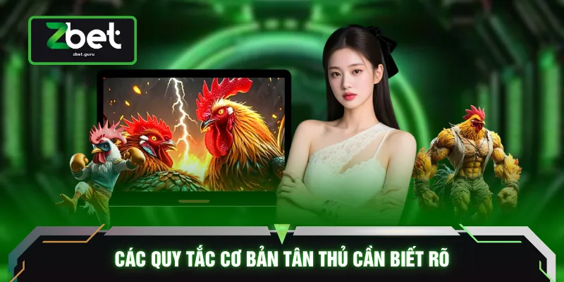 Các quy tắc cơ bản tân thủ cần biết rõ