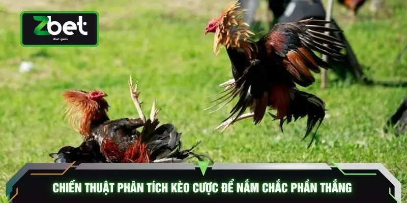 Chiến thuật phân tích kèo cược để nắm chắc phần thắng 