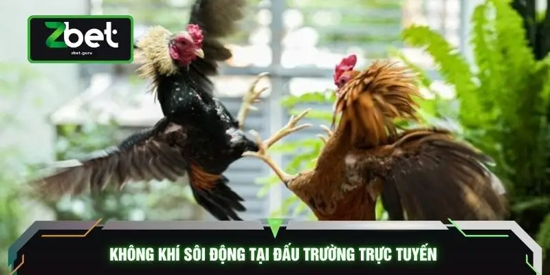 Không khí sôi động tại đấu trường trực tuyến 