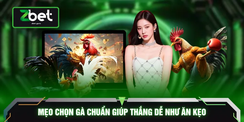 Mẹo chọn gà chuẩn giúp thắng dễ như ăn kẹo