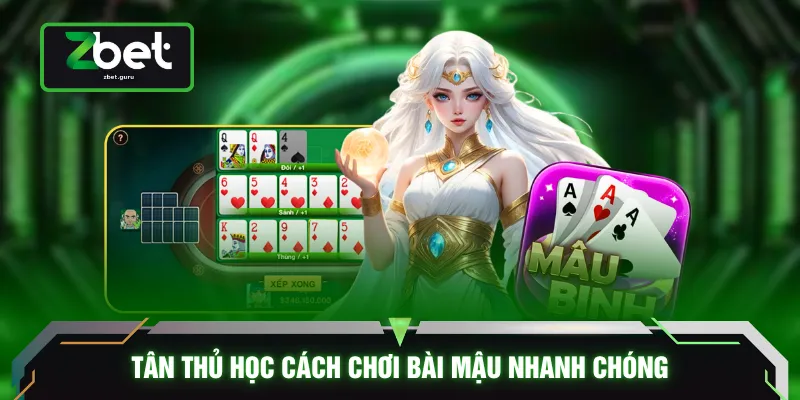 Tân thủ học cách chơi bài mậu nhanh chóng
